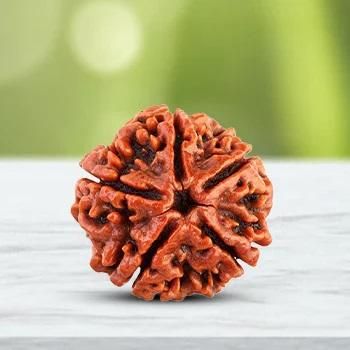 Rudraksha Explained: Truth, Benefits, Myths, and How to Use It the Right Way